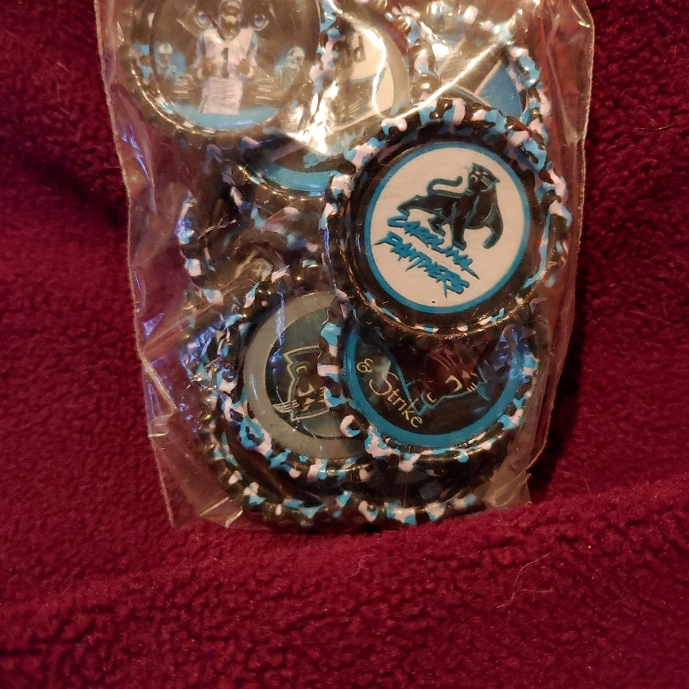 Homemade Bottlecap Magnets Carolina Panthers